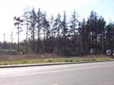 commercial_land